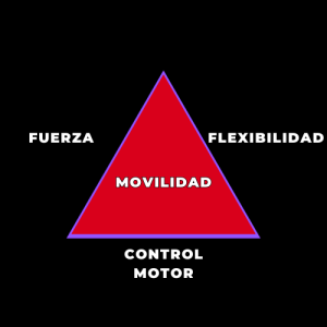 ENTRENAMIENTO DE MOVILIDAD QUÉ ES en BoxMove blog de movilidad