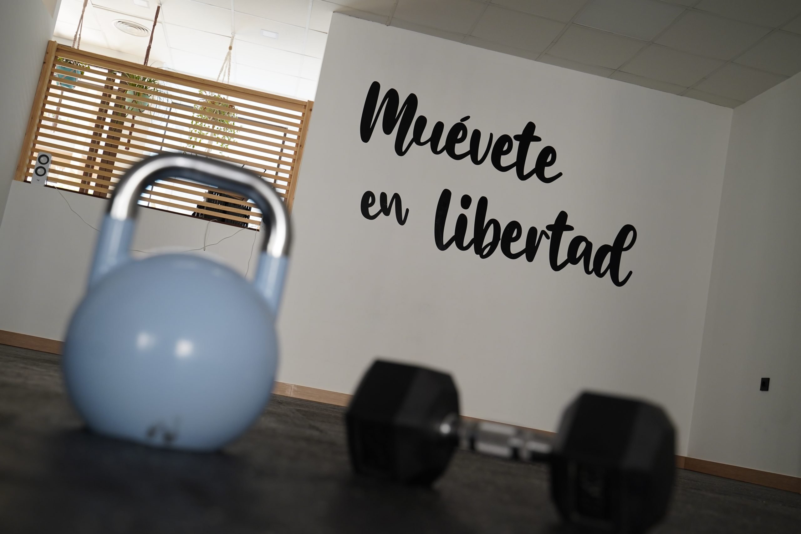 Experiencia de movimiento y acompañamiento en Boxmove